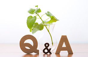 Q&A